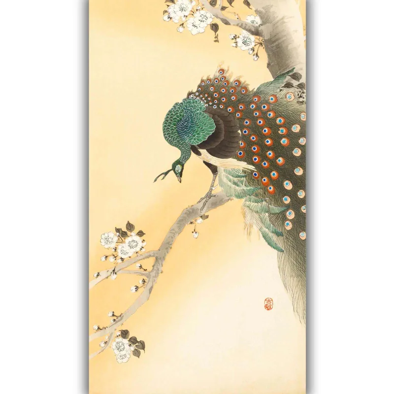 Reprodukcija „Povas ant žydinčios vyšnios“, Ohara Koson