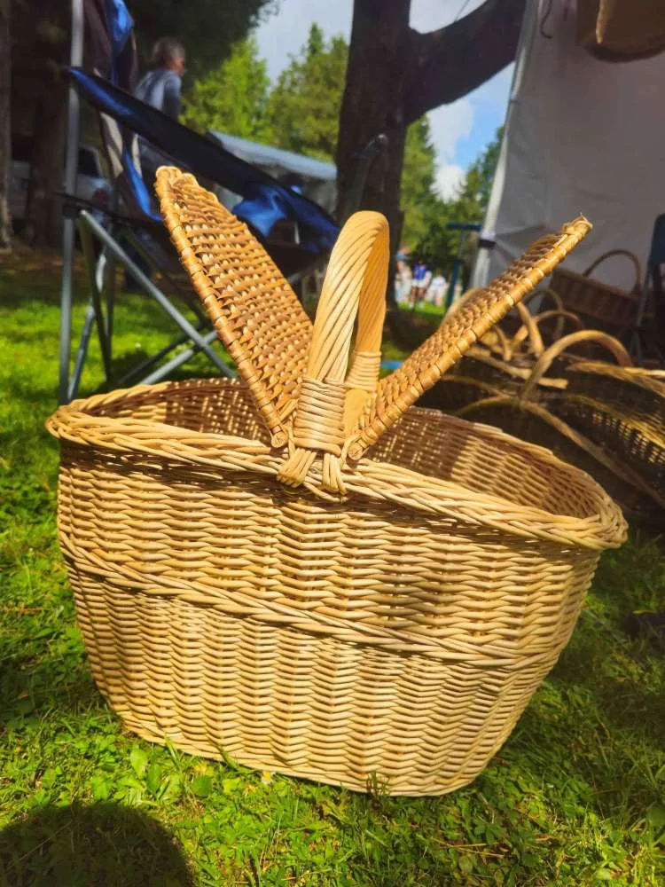 Gili pikniko pintinė su dangčiais