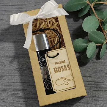 Automobilio rinkinys „Vairuoja BOSAS“