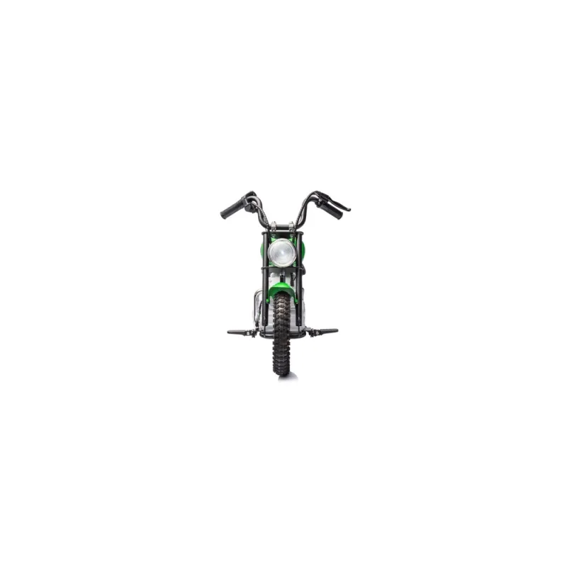 Elektrinis motociklas A9902 36V, Green · 3
