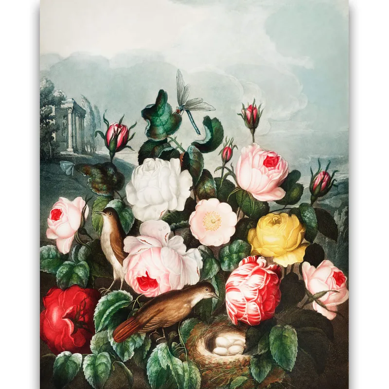 Reprodukcija „Rožės“, Robert John Thornton, (1808)
