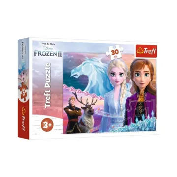 Dėlionė - 30 - Seserų drąsa - Disney Frozen 2 18253