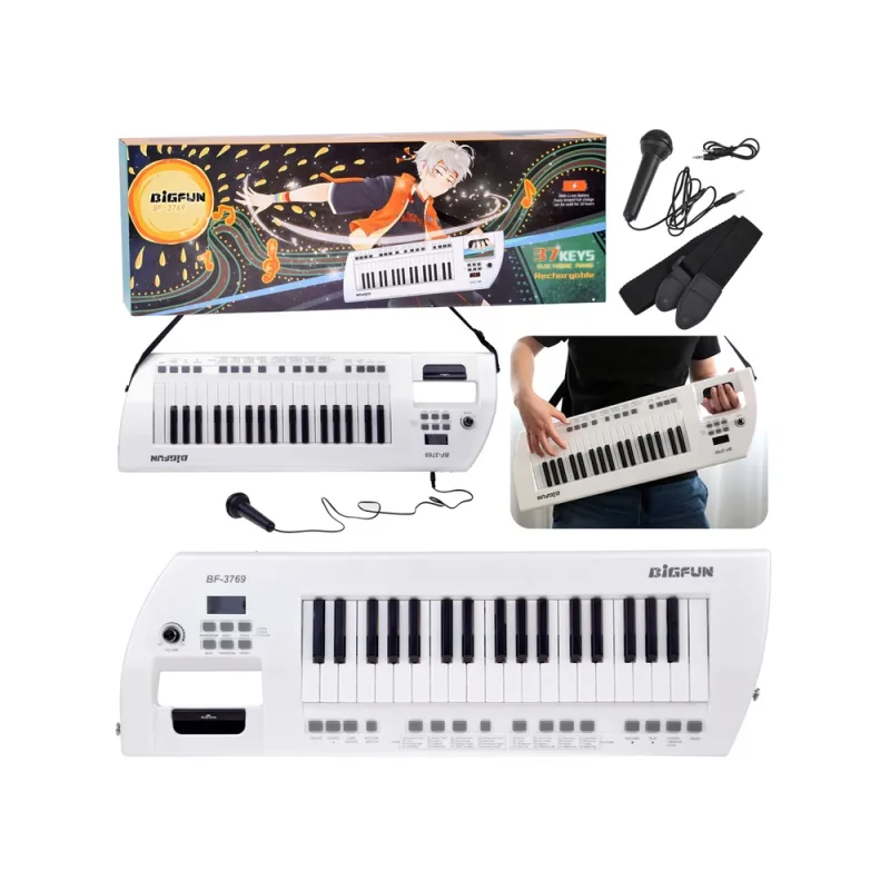 Elektrinis pianinas su mikrofonu, žaislinis instrumentas vaikams IN0173 · 1