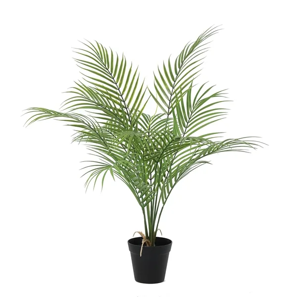 Dirbtinis augalas Howea Forsteriana 13Ø 80cm