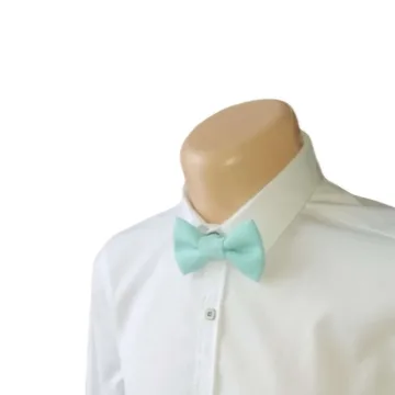 Turkio spalvos peteliškė „Turquoise Breeze“