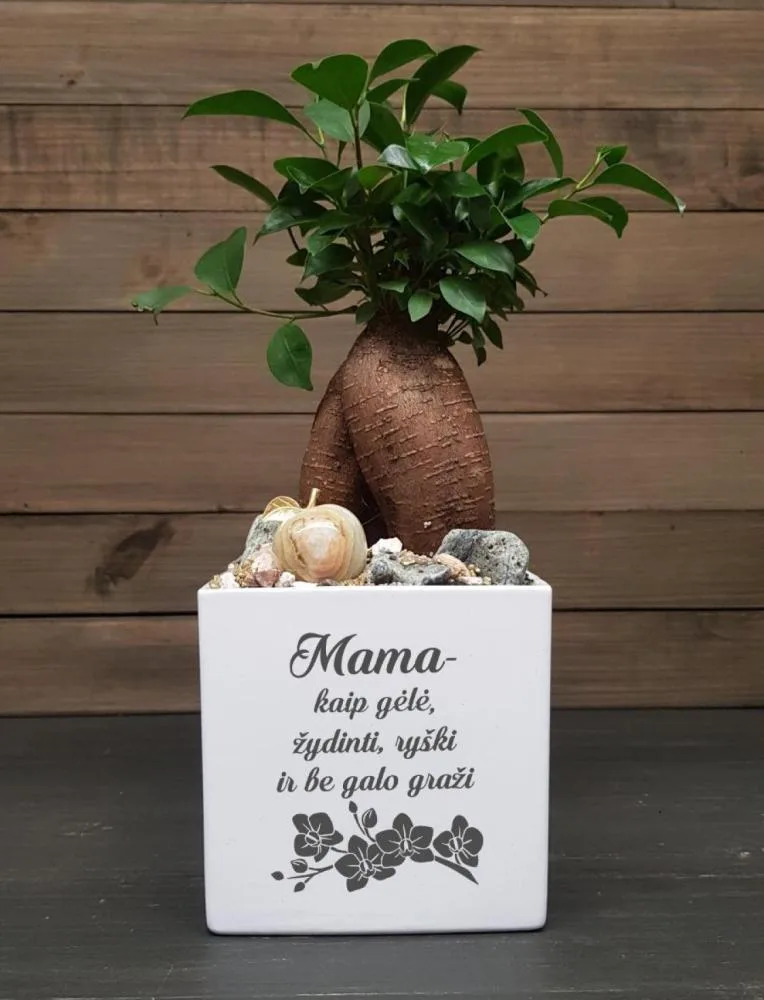 Vazonas su spauda „Mama - kaip gėlė“