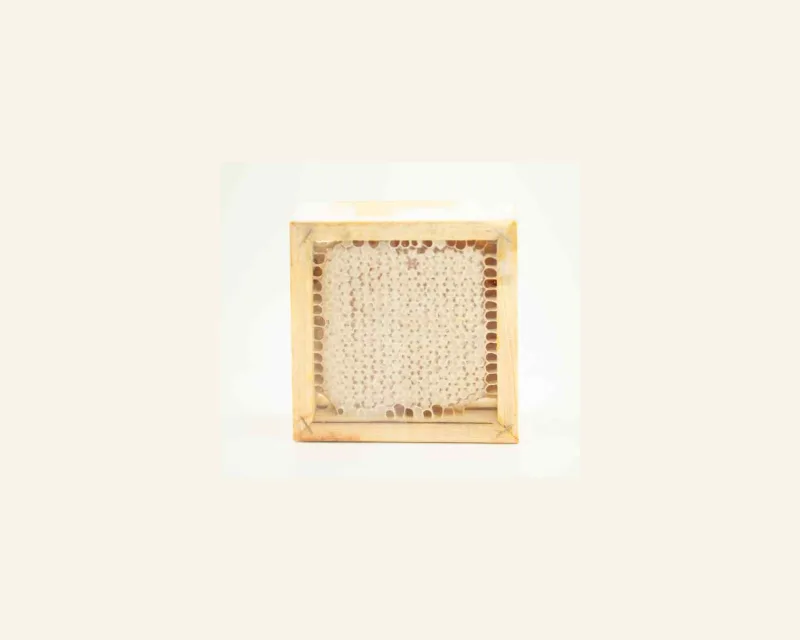 Medaus koriukas 12x12 cm.