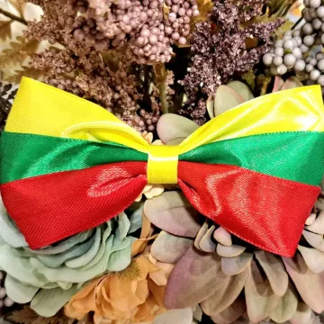 Varlytė su Lietuvos vėliavos trispalve