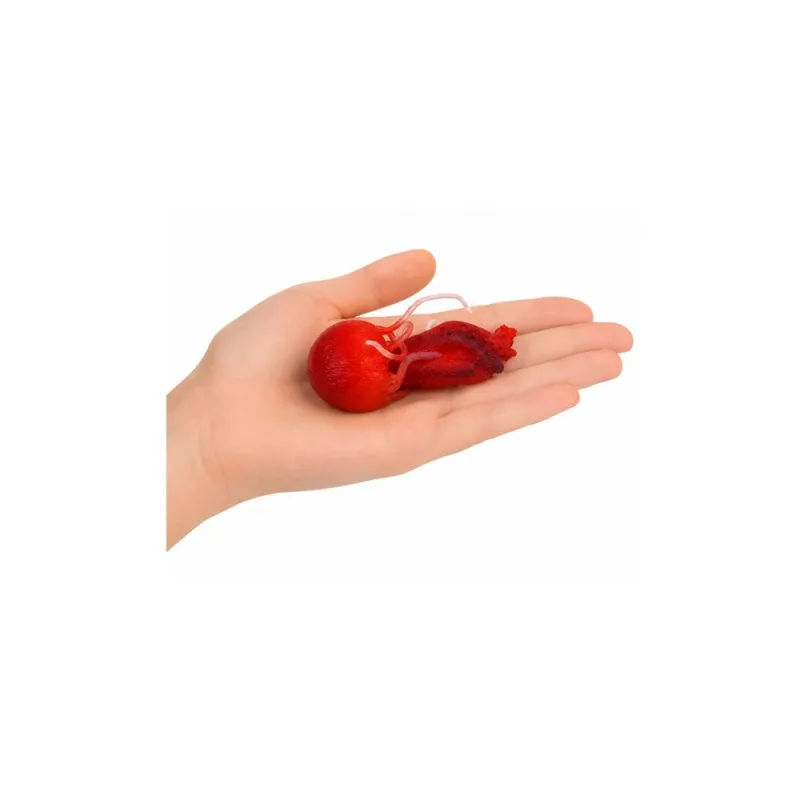 Guminė figūrėlė „Medūza“ – elastinga, realistiška jūros gyvūnė, 9 cm · 2