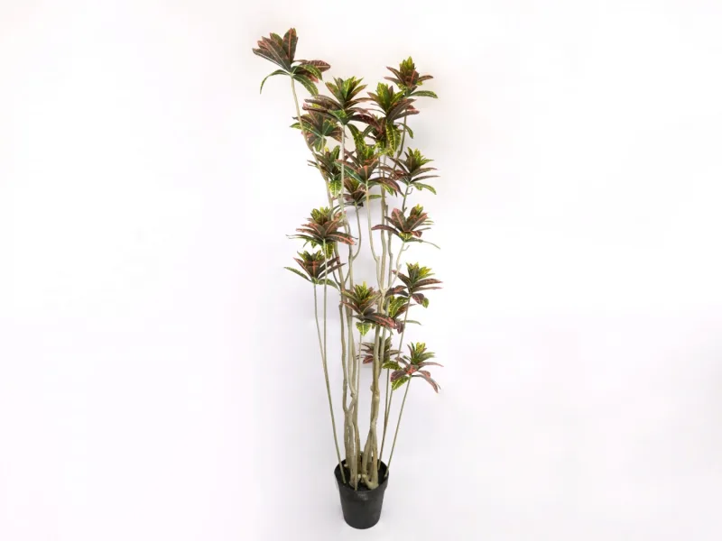 Dirbtinis augalas Croton medis 19 žiedynų h180 cm