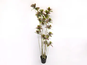Dirbtinis augalas Croton medis 19 žiedynų h180 cm