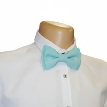 Turkio peteliškė „Turquoise Breeze“