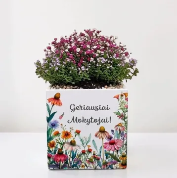 Vazonas „Geriausiai Mokytojai“