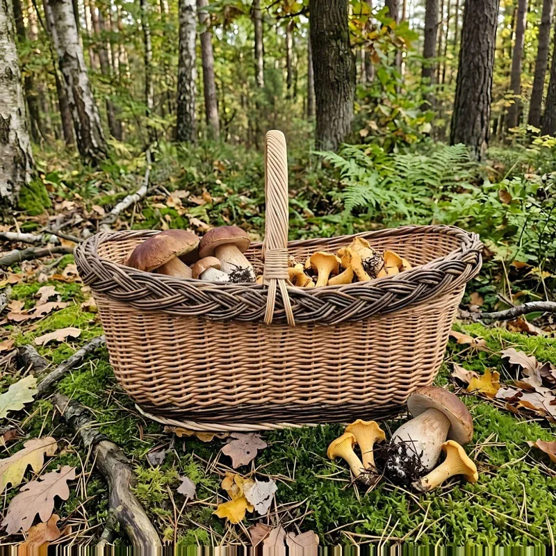Itin didelė dvispalvė vytelių pintinė