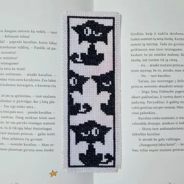 Knygos skirtukas „Crazy"