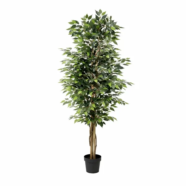 Dirbtinis augalas Ficus Benjamina 21Ø 190cm