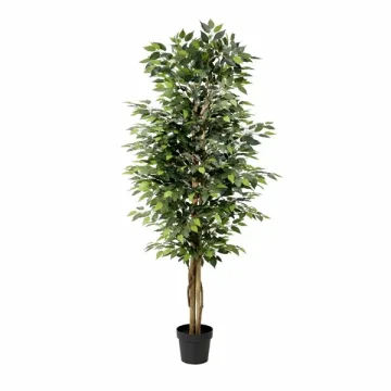 Dirbtinis augalas Ficus Benjamina 21Ø 190cm