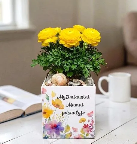 Vazonas su spauda „Mylimiausiai Mamai pasaulyje“