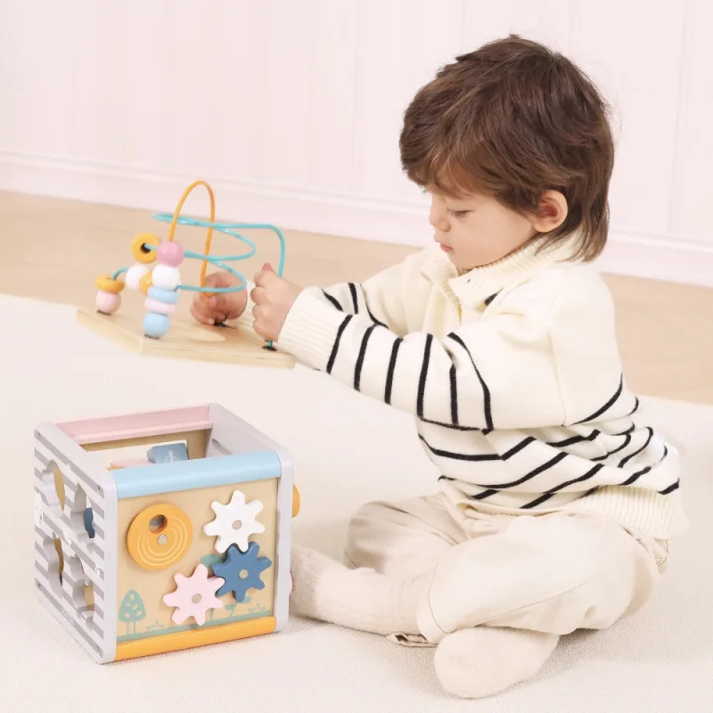 Medinis edukacinis žaidimų kubas 5in1 VIGA PolarB Activity Box · 1