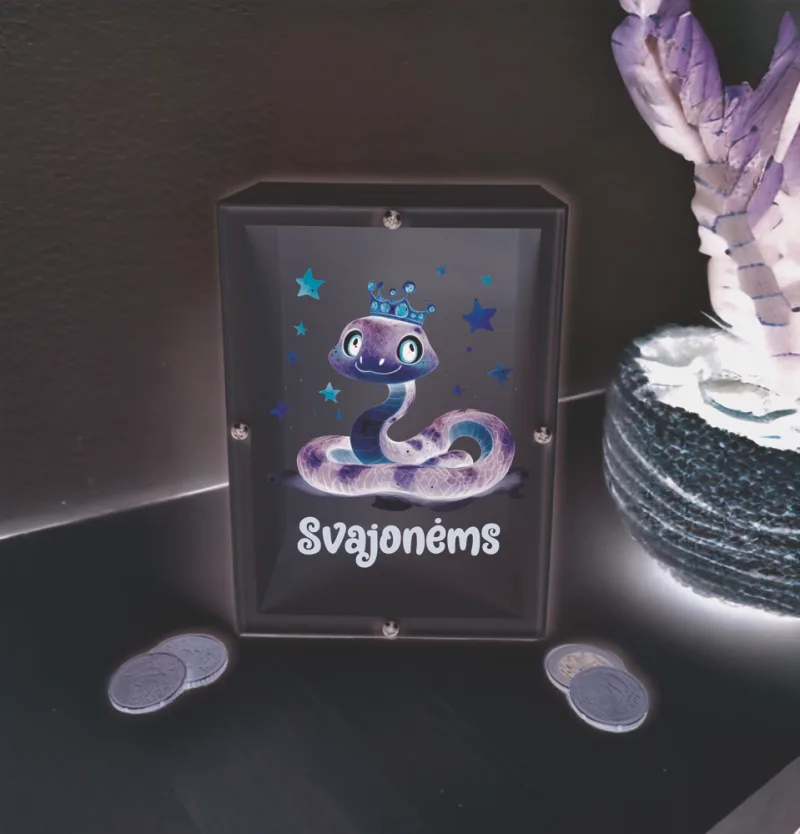 3D Taupyklė stačiakampė su gyvate „Svajonėms“