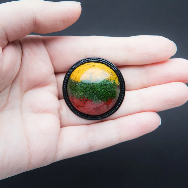 Sagė „Mūsų Trispalvė“ (37mm) (Juodos spalvos rėmelis)