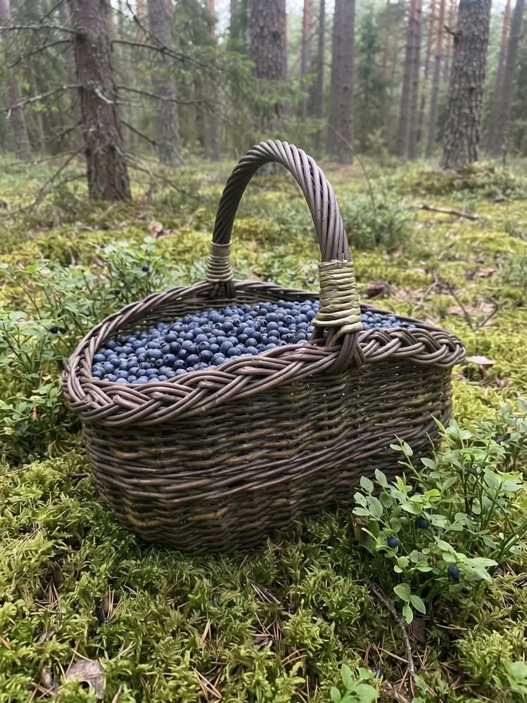 Maža sekli pintinė