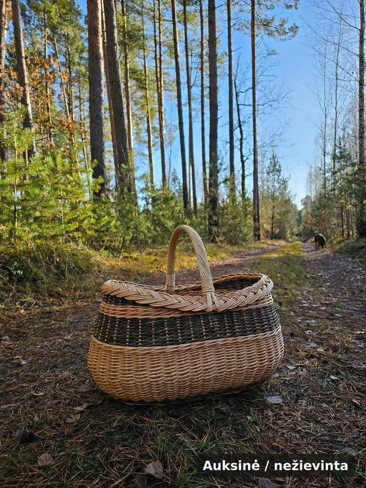Pintinė grybavimui su aukšta rankena