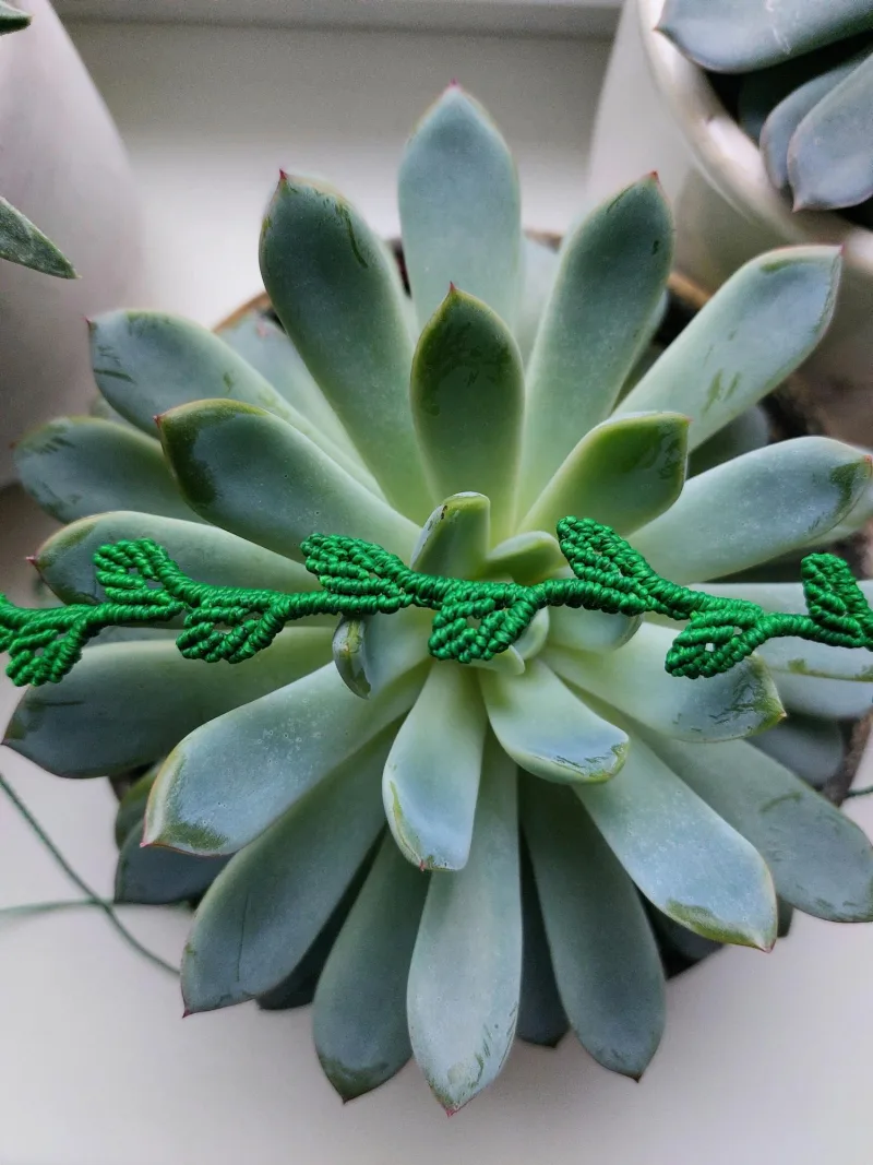 Macrame kaklo papuošalas