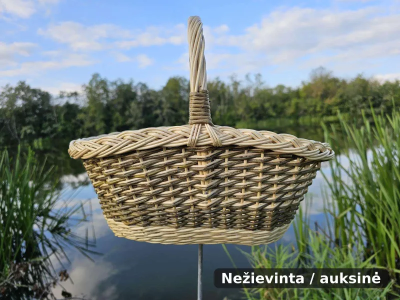 Pintinė su aukšta lankine rankena