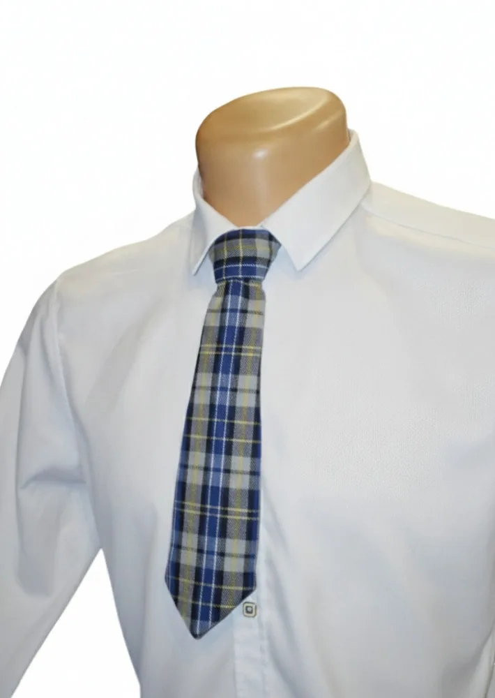 Languotas kaklaraištis „Blue–Yellow Check Tie“