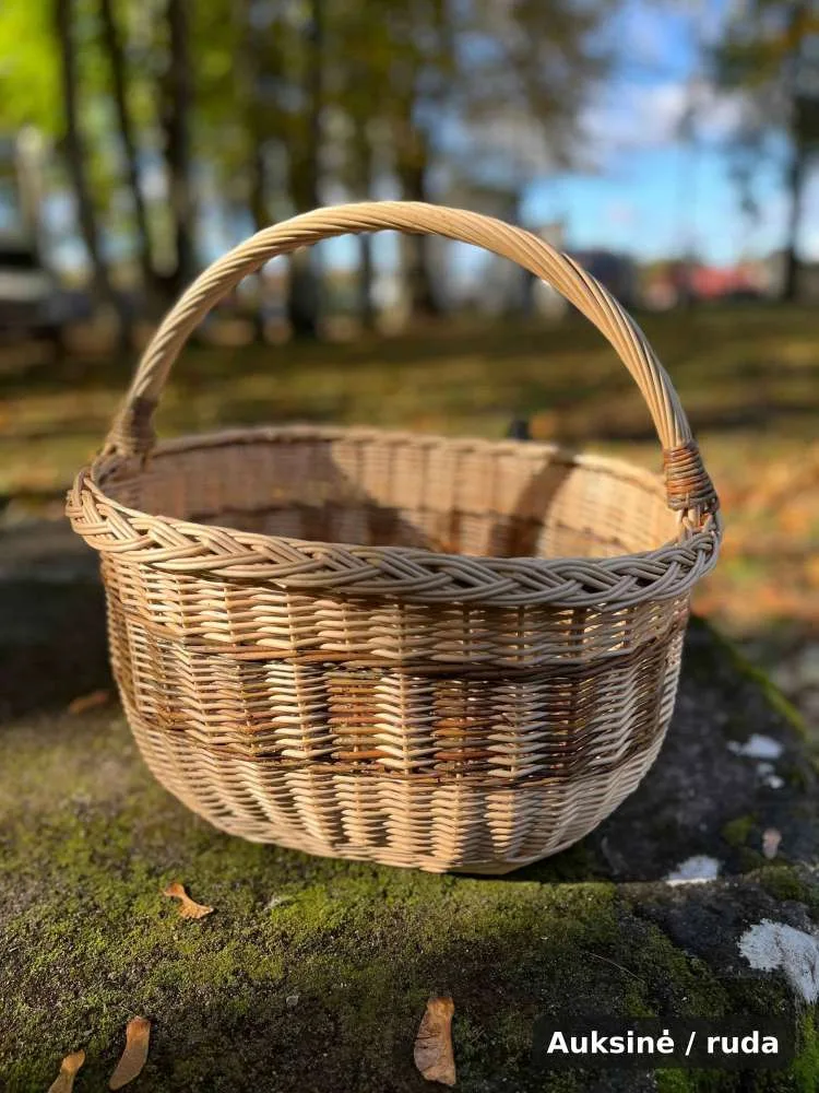 Ovali pintinė su žema rankena