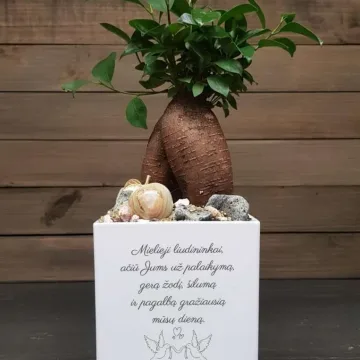 Vazonas su spauda „Mielieji liudininkai, ačiū Jums už palaikymą...“