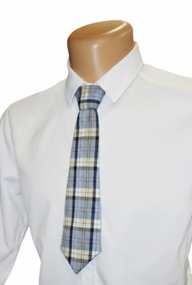 Šviesiai mėlynas languotas kaklaraištis „Blue Check Tie“