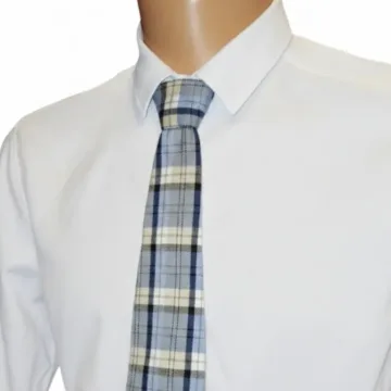 Šviesiai mėlynas languotas kaklaraištis „Blue Check Tie“