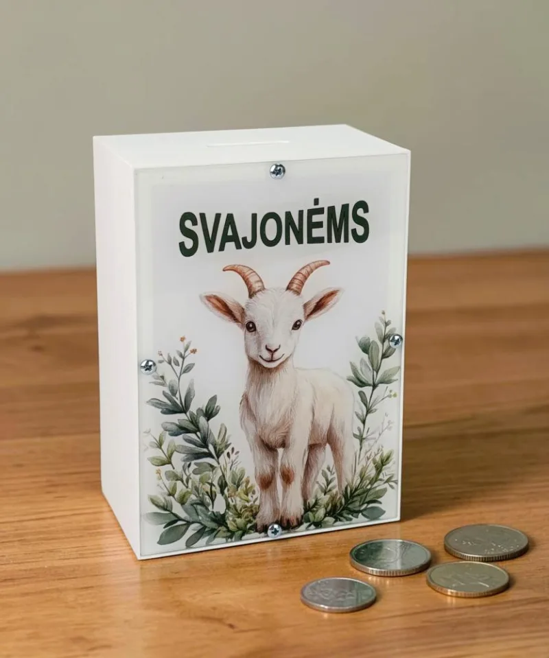 3D Taupyklė stačiakampė su ožiuku „Svajonėms“