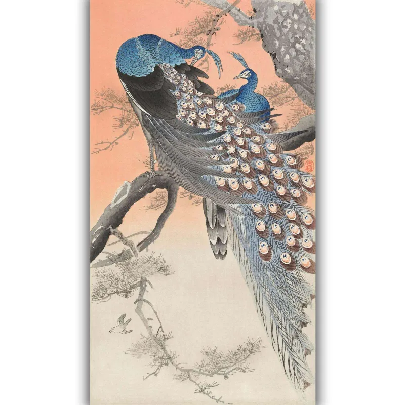Reprodukcija „Du povai medyje“, Ohara Koson