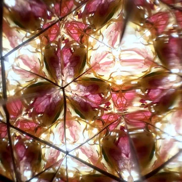 Gėlių kaleidoskopas konstruktorius „DIY Flowerscope“