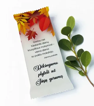 Šokoladas „Dėkingumo plytelė už Jūsų gerumą“