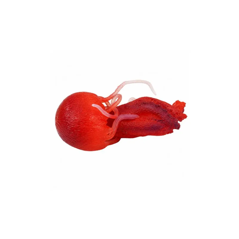 Guminė figūrėlė „Medūza“ – elastinga, realistiška jūros gyvūnė, 9 cm · 3