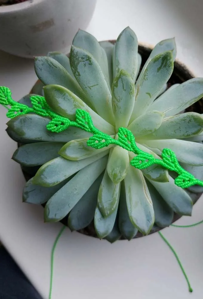 Macrame kaklo papuošalas