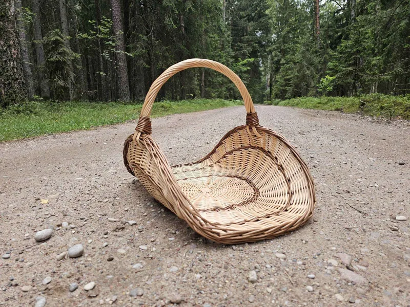 Gėlių pintinė su tamsiu ratu dugne