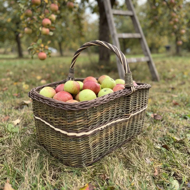 Didelė stačiakampė vytelių pintinė