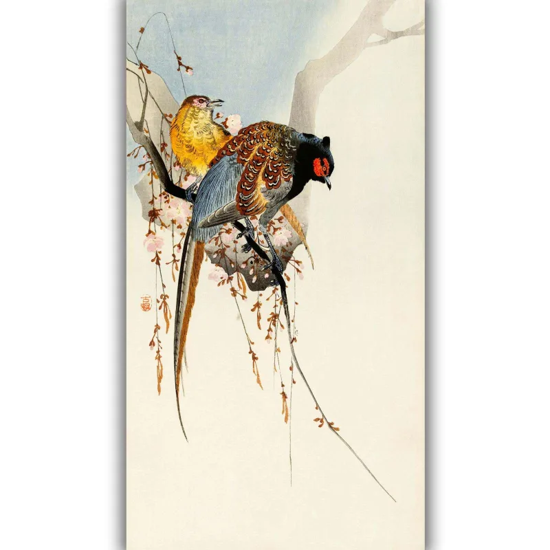 Reprodukcija „Fazanų pora ir slyvų žiedai“, Ohara Koson
