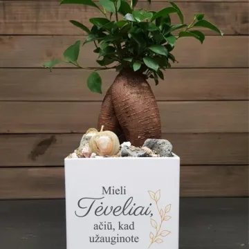 Vazonas su spauda „Mieli tėveliai, ačiū, kad užauginote“