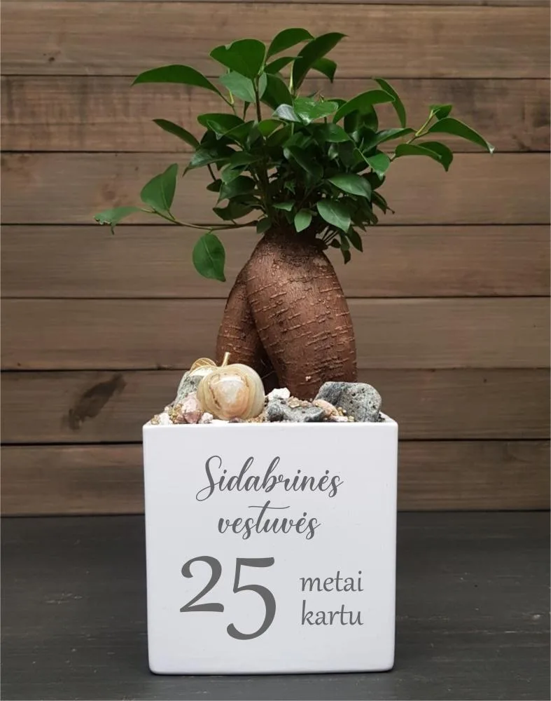 Vazonas su spauda „Sidabrinės vestuvės“