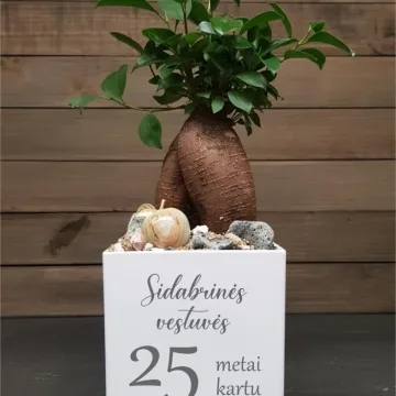 Vazonas su spauda „Sidabrinės vestuvės“