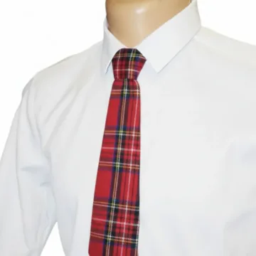 Raudonas languotas kaklaraištis – Red Check Tie“