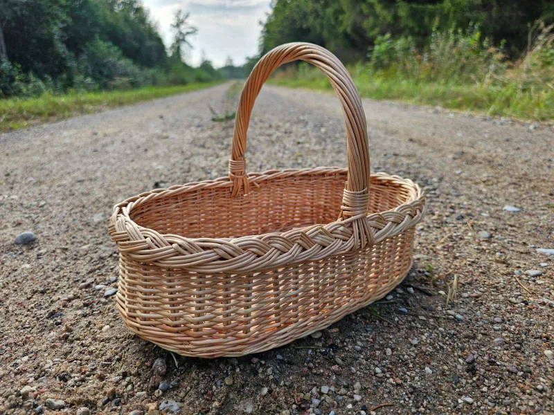 Maža sodo pintinėlė