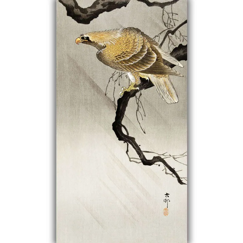 Reprodukcija „Erelis ant šakos“, Ohara Koson