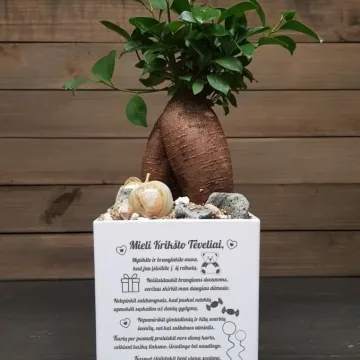 Vazonas su spauda „Mieli Krikšto Tėveliai, mylėkite ir branginkite...“